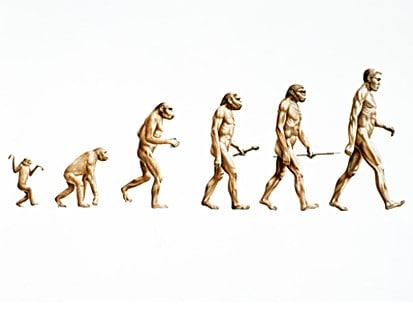increase evolution of man